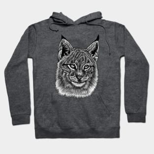 Lynx cat kitten Hoodie